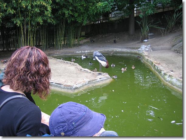 Diapositiva siguiente